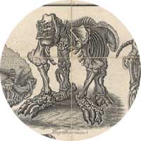 Megatherium skeleton